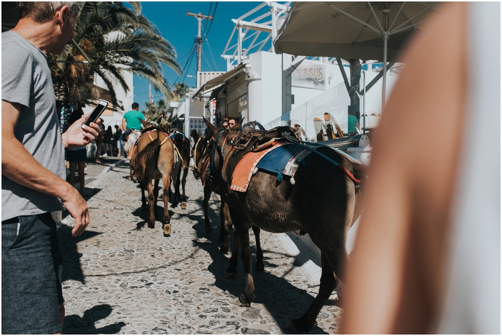  We opted not to do it because Mike is not a fan of horses, but you could take donkey rides down to the old port!&nbsp; 