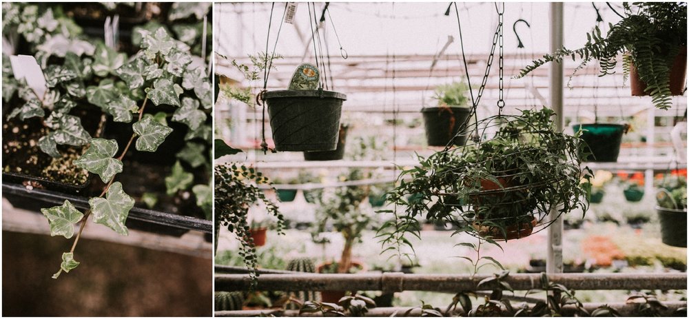 Boise senior photographer succulents greenhouses terarriums spring senior pictures
