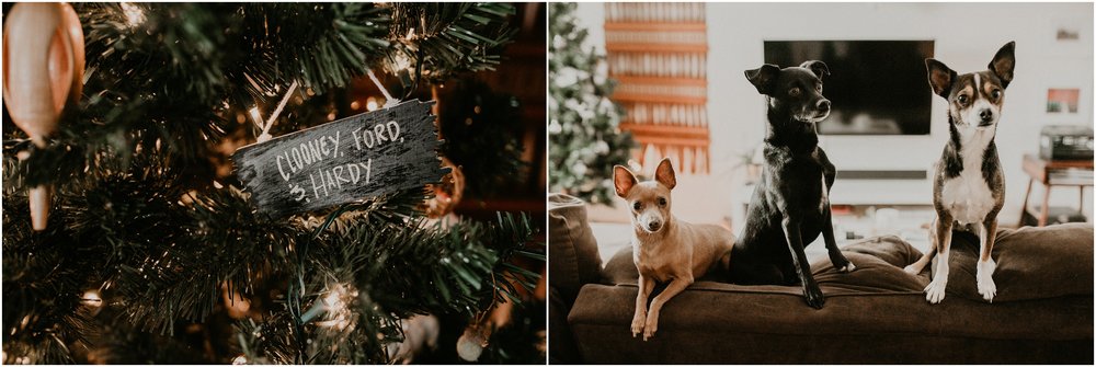 Boise Engagement Wedding Photographer Lifestyle Couples Session In home Dogs Christmas Winter